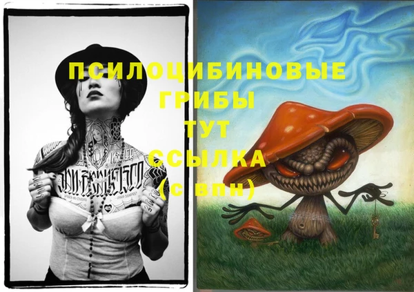 прущие крисы Арсеньев