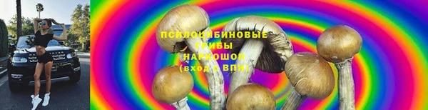 прущие крисы Арсеньев
