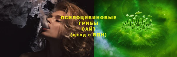 прущие крисы Арсеньев