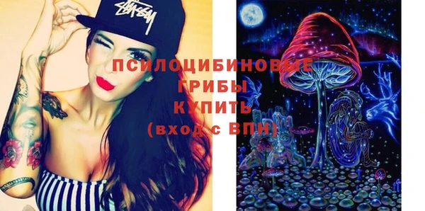 гашик Армянск