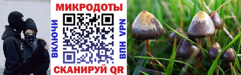Галлюциногенные грибы мицелий  наркошоп  Светлогорск 